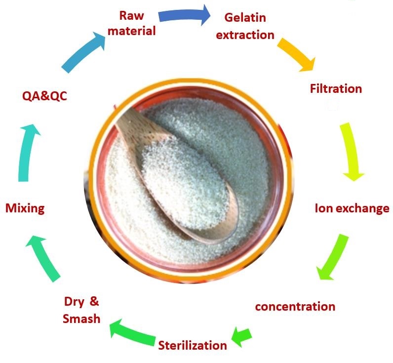 fish-gelatin-production-process